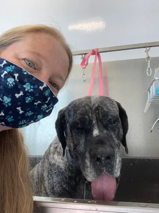 Cambridge Street Animal Hospital Picture 5