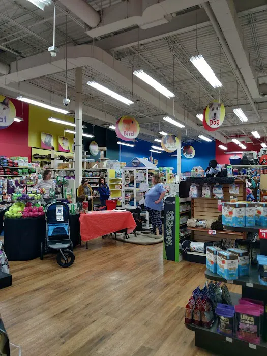 Pet Supermarket Picture 8