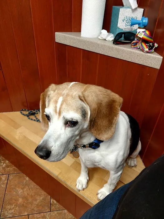 Woburn Animal Hospital Picture 4