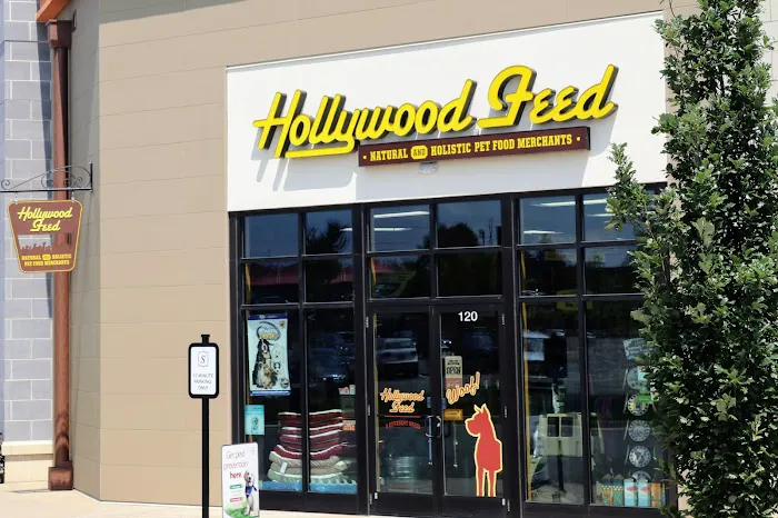 Hollywood Feed Picture 7