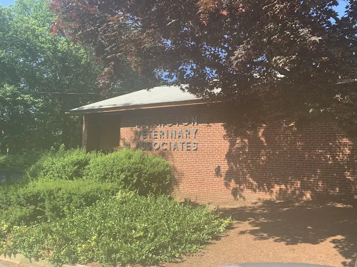 Lexington Veterinary Associates Picture 8