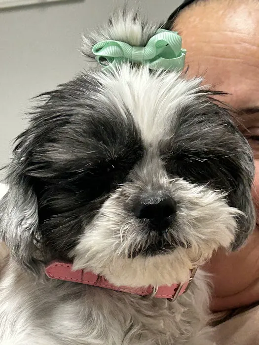 Lexington Veterinary Associates Picture 10