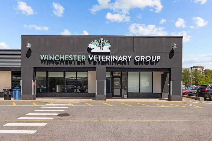 Winchester Veterinary Group Picture 8
