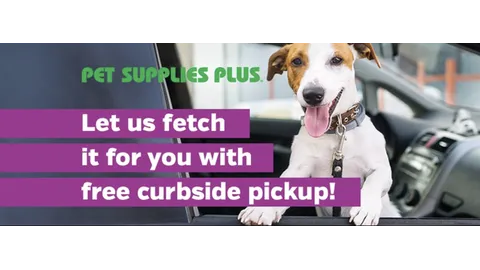 Pet Supplies Plus Lexington Picture 8