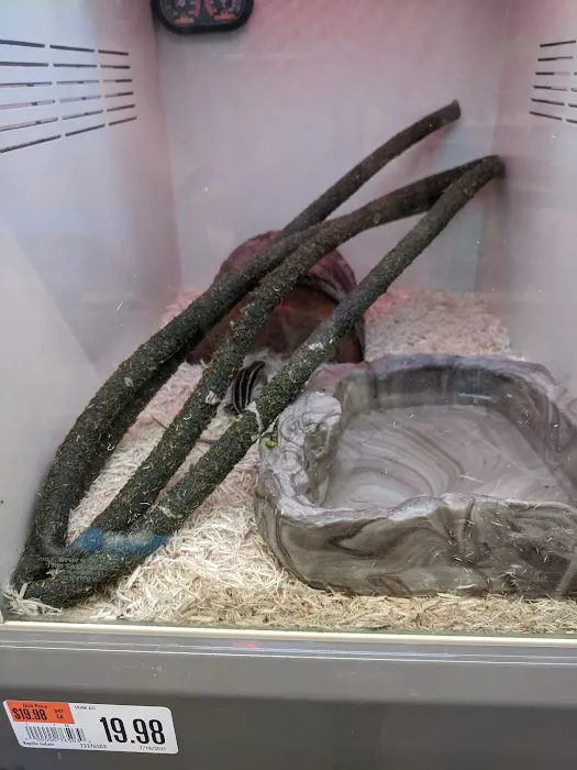 Pet Supplies Plus Lexington Picture 1