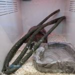 Pet Supplies Plus Lexington