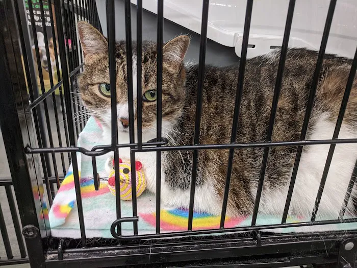 Pet Supplies Plus Lexington Picture 2