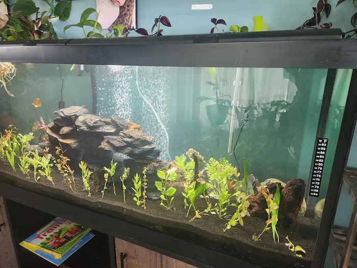 Dustin's Fishtanks Picture 9
