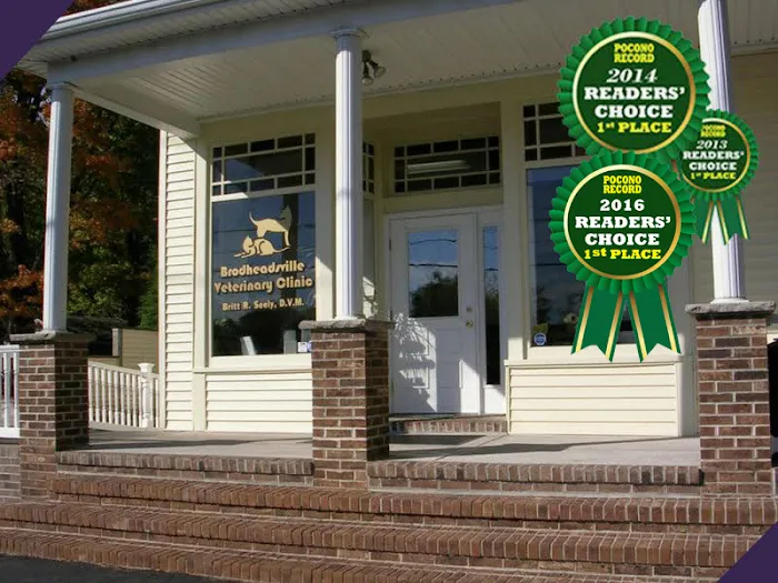 Brodheadsville Veterinary Clinic Picture 8