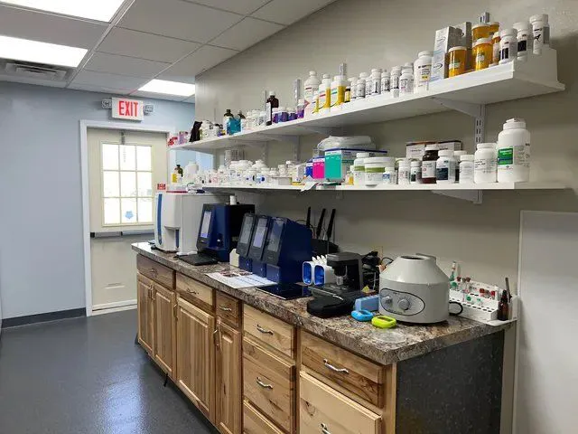 Town & Country Veterinary Services, PC Picture 1