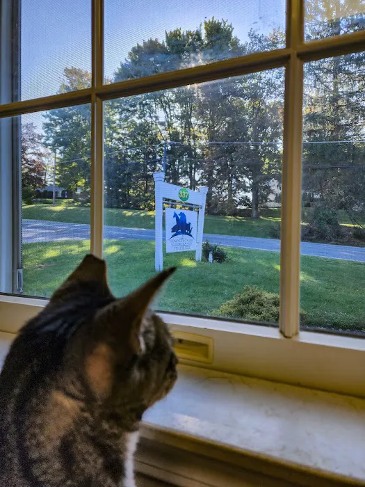 Town & Country Veterinary Services, PC Picture 5