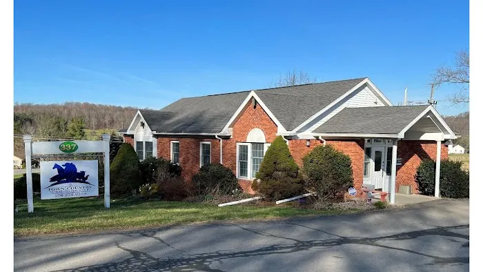 Town & Country Veterinary Services, PC Picture 8