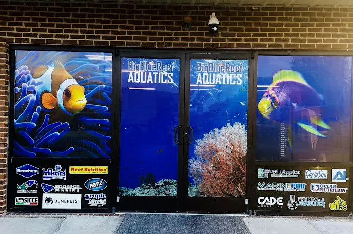 Big Blue Reef Aquatics Picture 6