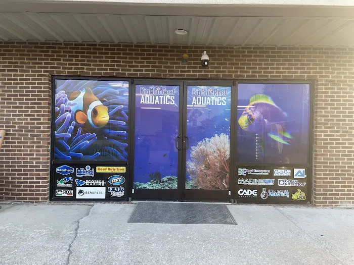 Big Blue Reef Aquatics Picture 7