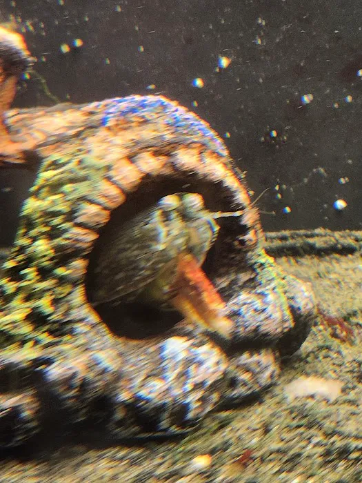 Aquatic Gallery Picture 9