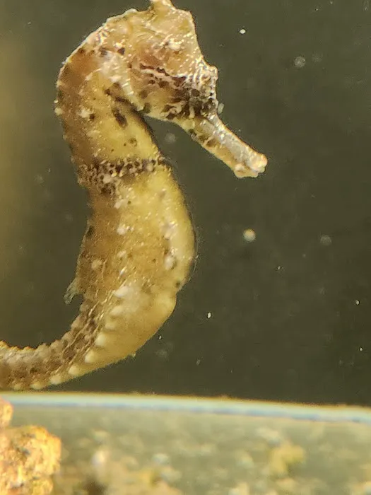Aquatic Gallery Picture 3