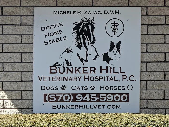 Bunker Hill Veterinary Hospital, PC Picture 6