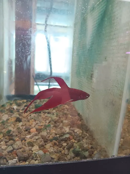 Natural AquariumZ Picture 1