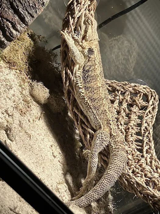 Natural AquariumZ Picture 9