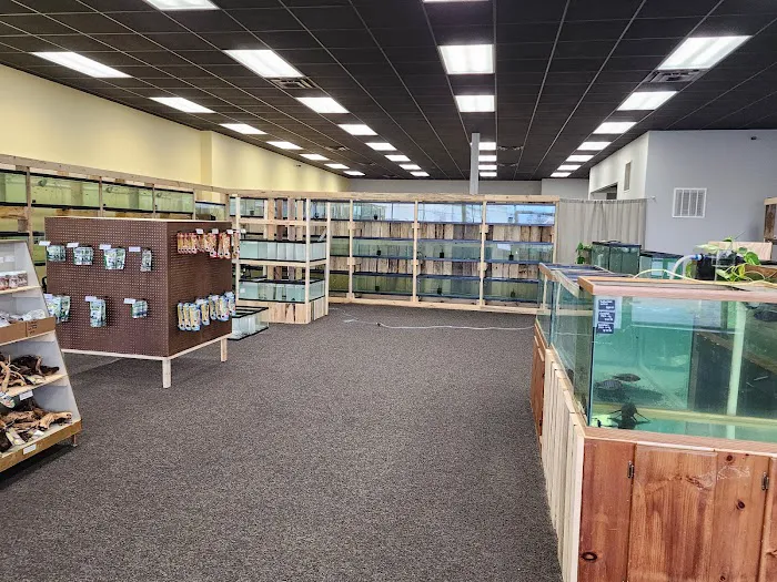 Natural AquariumZ Picture 6