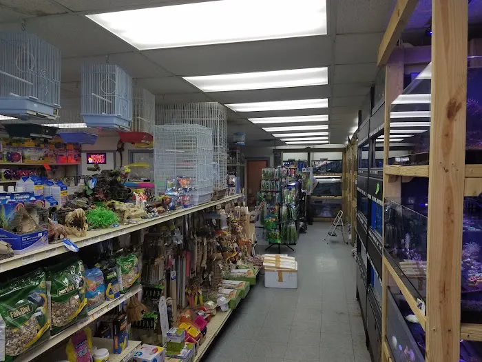 Pet Paradise II Picture 5