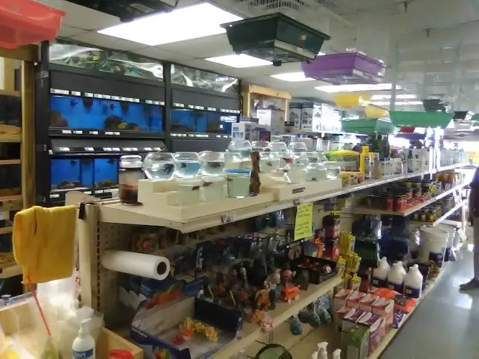 Pet Paradise II Picture 2