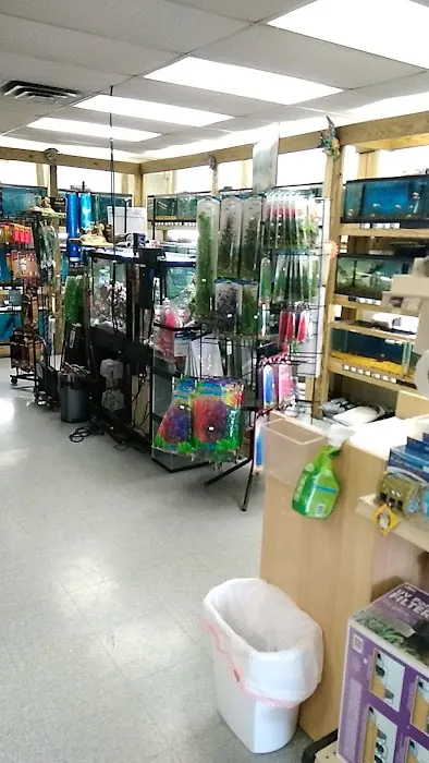 Pet Paradise II Picture 6