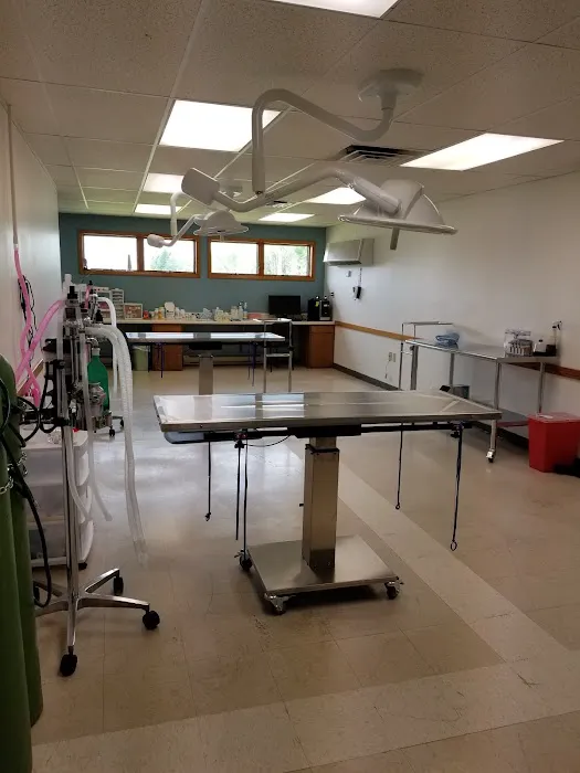 Mountain Valley Spay/Neuter and Vaccine Clinic Picture 8