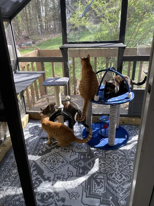 Mountain Valley Spay/Neuter and Vaccine Clinic Picture 10