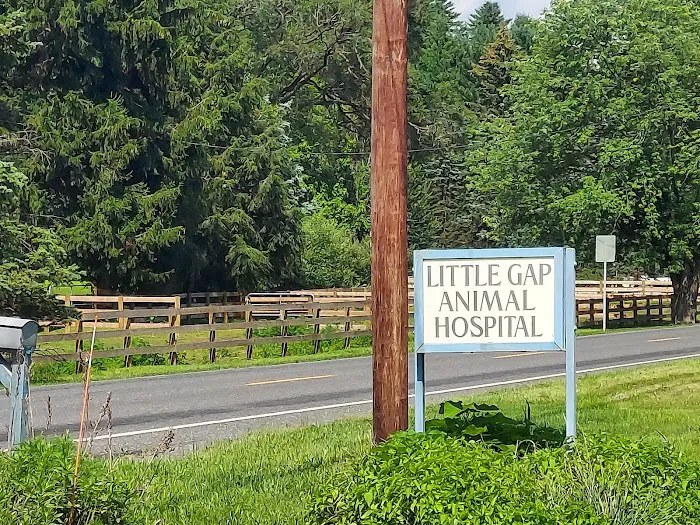 Little Gap Animal Hospital Picture 3