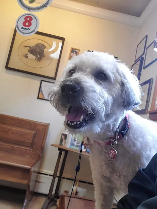 Little Gap Animal Hospital Picture 5