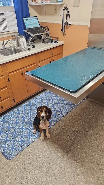 Mountaintop Animal Hospital Picture 4