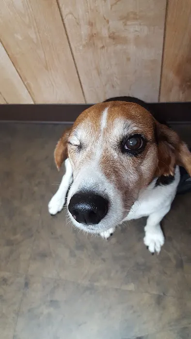 Mountaintop Animal Hospital Picture 3
