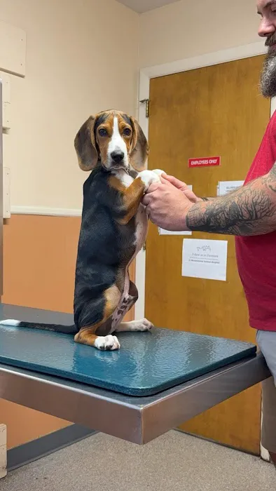 Mountaintop Animal Hospital Picture 2