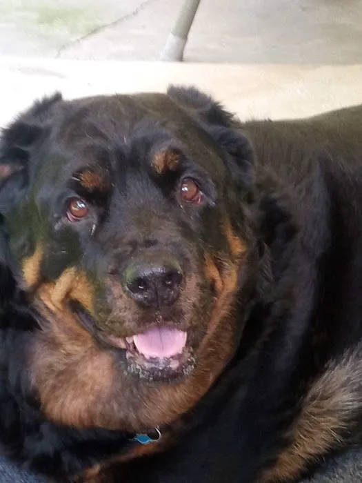 Mountaintop Animal Hospital Picture 1