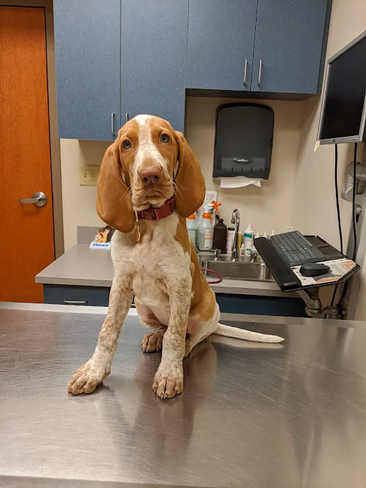 Wyoming Valley Veterinary Hospital Picture 2