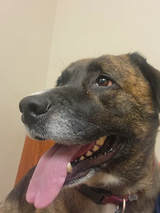 Wyoming Valley Veterinary Hospital Picture 4