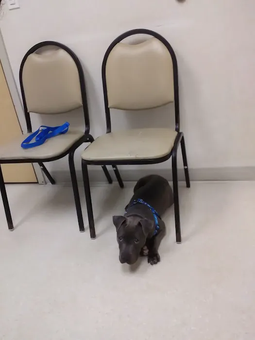 Wyoming Valley Veterinary Hospital Picture 9