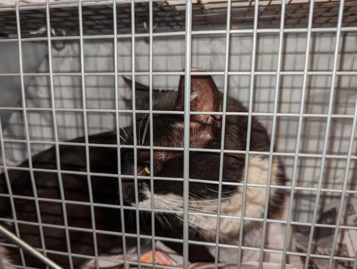 Eastern PA Animal Alliance -Wilkes Barre Location Picture 3