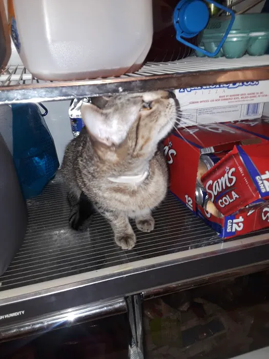 Eastern PA Animal Alliance -Wilkes Barre Location Picture 5