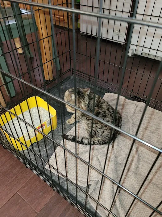 Eastern PA Animal Alliance -Wilkes Barre Location Picture 1