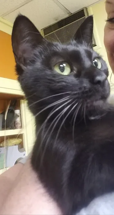 Eastern PA Animal Alliance -Wilkes Barre Location Picture 9