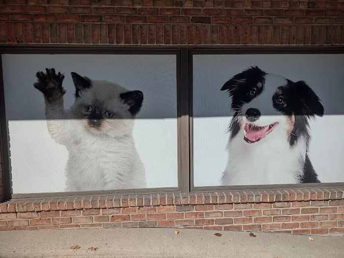 The Pet Care Clinic Picture 4