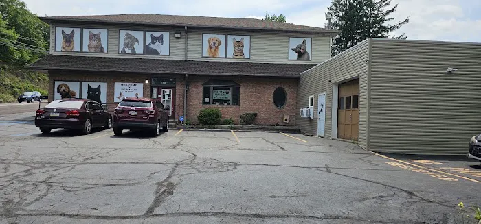The Pet Care Clinic Picture 6