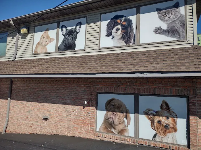 The Pet Care Clinic Picture 7