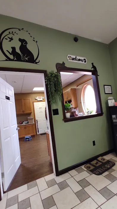 The Pet Care Clinic Picture 2