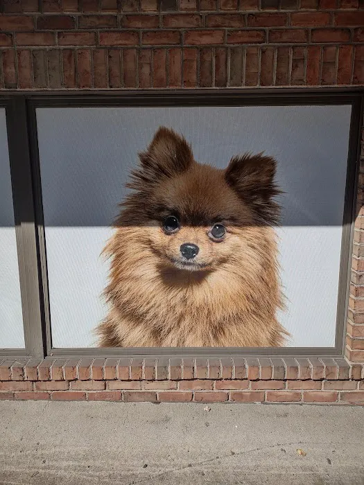 The Pet Care Clinic Picture 9