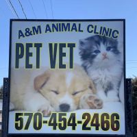 A&M Animal Clinic ico