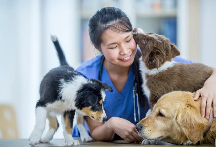 A&M Animal Clinic Picture 7