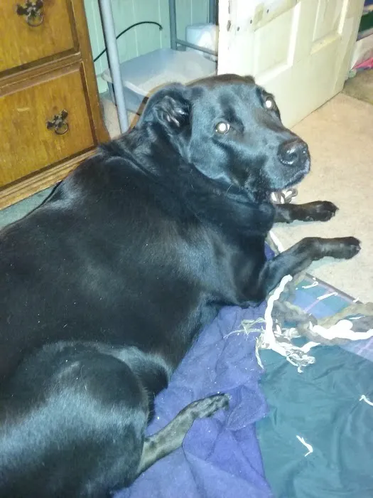 Plains Animal Hospital Picture 3